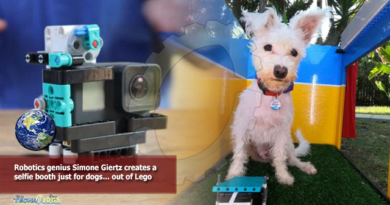 Robotics genius Simone Giertz creates a selfie booth just for dogs… out of Lego