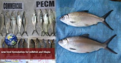 new feed formulation for milkfish and tilapia
