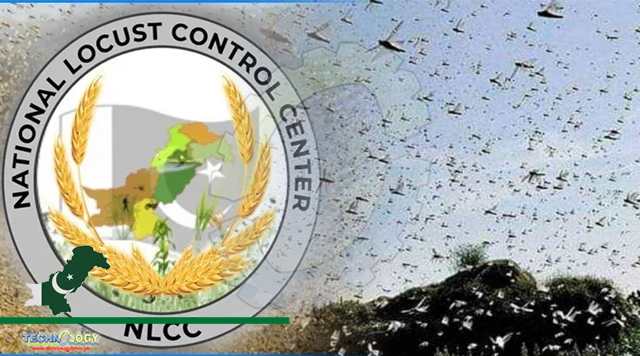 Locust presence not reported in country during last 24 hours
