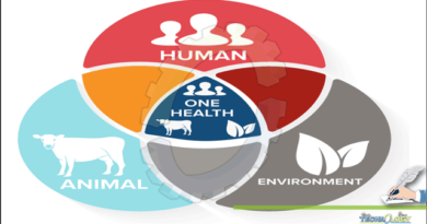 One-Health-Concept-And-Its-Global-Importance