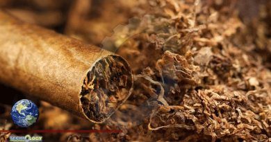 NGO: Tax Raise A Must To Lower Tobacco Deaths