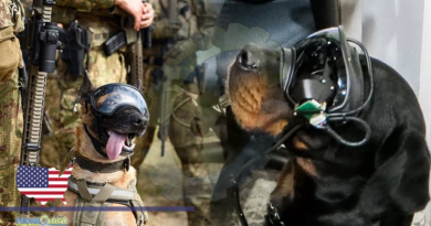 The US Army plans to inculcate AR for canines