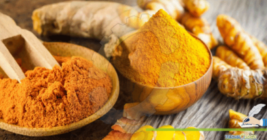 Turmeric-Curcumin-And-Our-Life-A-Review