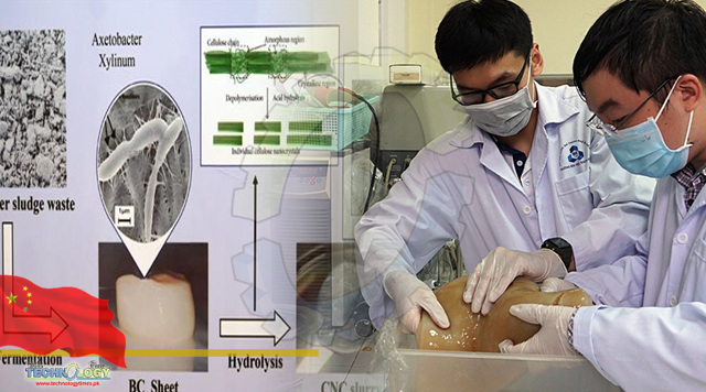 Vietnam team wins regional tech contest with bio-material stronger than steel
