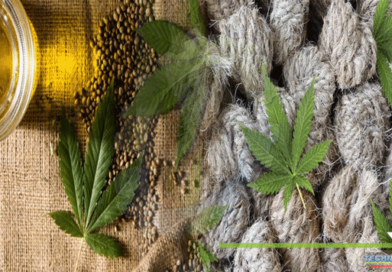 Billion-Dollar-Crop-Cannabis-Sativa