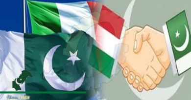 Italian ambassador offers long-term visas to Pakistani investors to increase bilateral trade