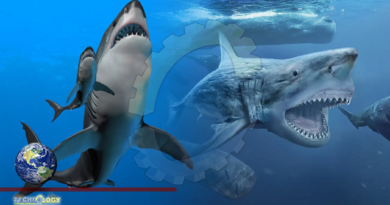 Megalodon Likely Grew So Big by Hatching in The Womb And Eating Unborn Siblings