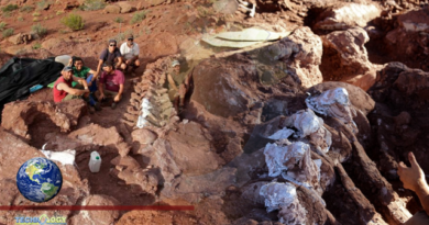 New Patagonian dinosaur may be largest yet: scientists