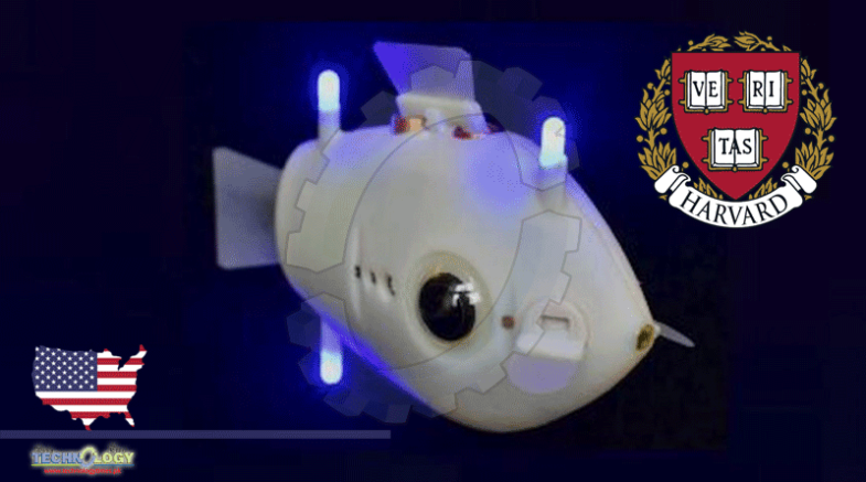 Scientists Create BlueBot Underwater Robots That Swim Like Fish