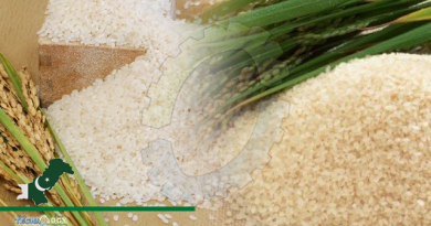 Stakeholders demand swift review of rice standards