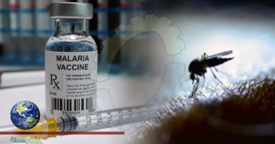 Researchers develop world’s most effective malaria vaccine