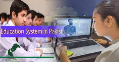 ‘Pakistan needs top standard online education system’