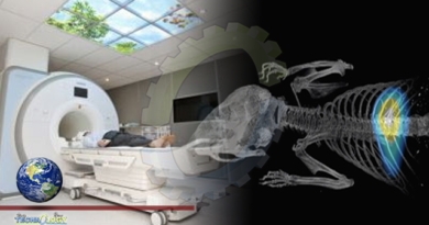 A world first in imaging technology – Medicine, Nursing and Health Sciences – Monash University