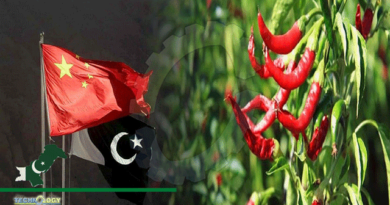 Pak-China-Chilli-Farming-Coop-To-Further-Boost-Agri-Sector