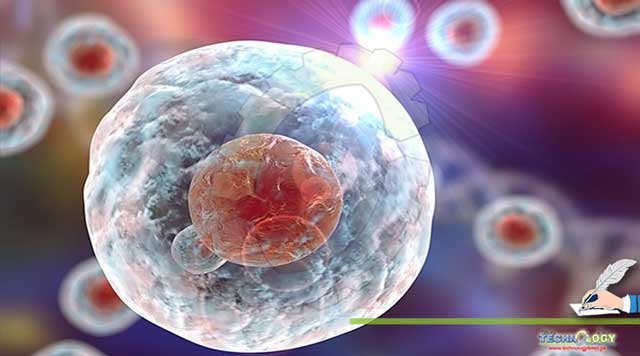 STEM-CELL-THERAPEUTICS-OPENING-NEW-DOORS-FOR-CANCER-TREATMENT.