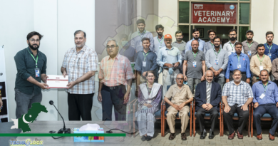 2- Day National workshop on ‘Equine Distal Limb Lameness Diagnosis and Sonography’ concludes at UVAS