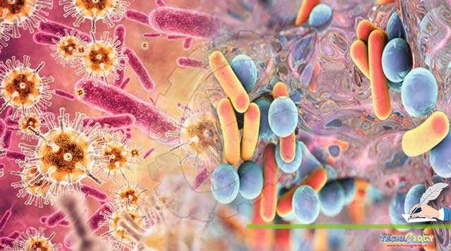Antimicrobial-resistance-A-booming-threat
