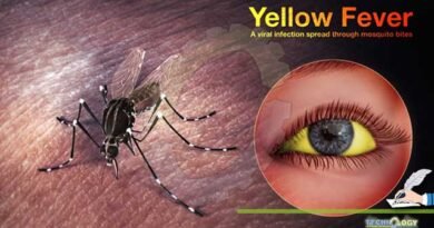 YELLOW-FEVER-AN-EMERGING-ISSUE