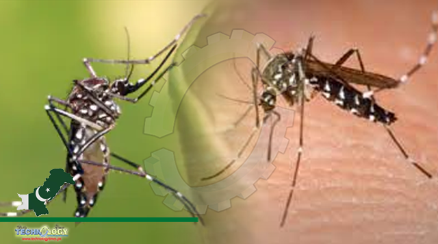 DC Directs Departments Concerned To Remain On High Alert To Control Dengue