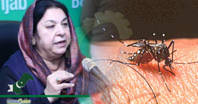 Health Minister warns of dengue virus spread, calls for preventive measures