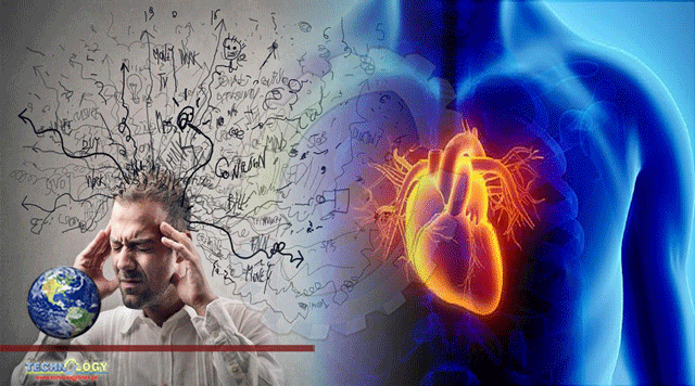 Stress Hormones can Cause Cardiovascular Problems
