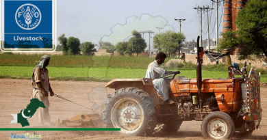 Pakistan's First Digital Dera At Remote Village Of PakPattan