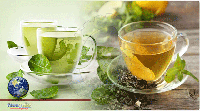 Green Tea is Healthy and Can Promote Longer Life