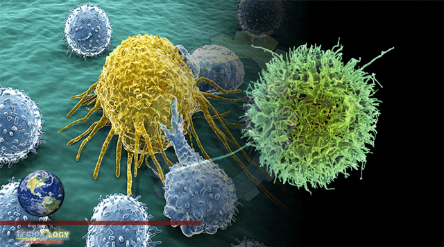 Natural Killer Cells Play Important role in Immune Surveillance Against Tumors