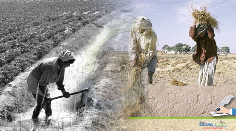Agricultural problems in Pakistan and their solution