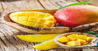 Facts-make-Mango-the-king-of-fruits