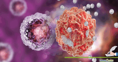 Cancer Stem Cells CSCs in Solid Tumors