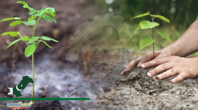 PHA To Plant 25,000 Saplings Under Monsoon Plantation Campaign