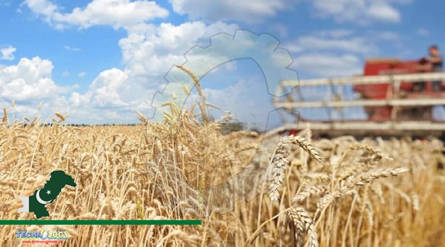 UAF, WSU working on 30 new wheat varieties