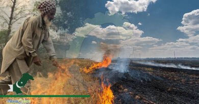 Burning Crop Residues In Fields, Destroying Agricultural Health: PARC