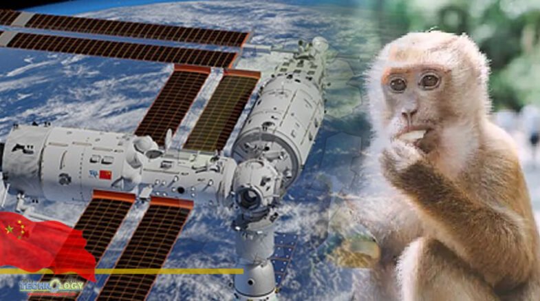 China to send monkeys into space to study zero-gravity reproduction: Report