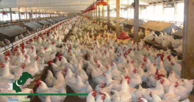 Government-Urges-To-Assist-The-Poultry-Sector.