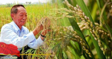 International Forum on Hybrid Rice Assistance and Global Food Security held at Beijing