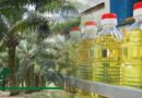 Pakistan needs to focus on large-scale palm oil cultivation to lessen edible oil imports