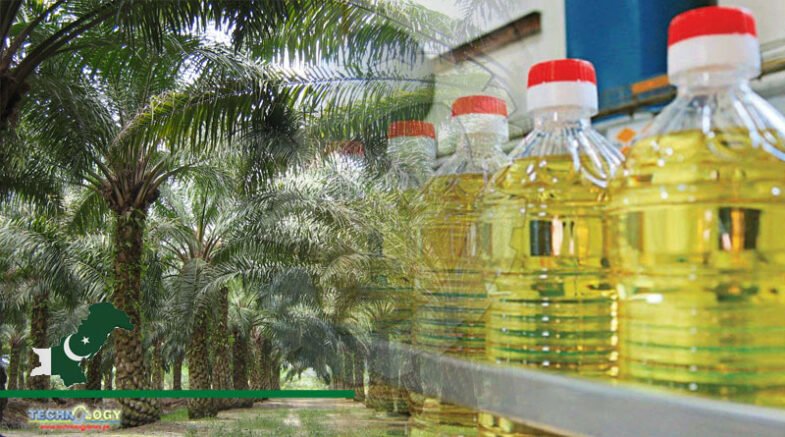 Pakistan needs to focus on large-scale palm oil cultivation to lessen edible oil imports