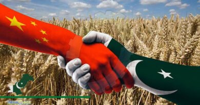 Sino-Pak joint research on hybrid wheat varieties