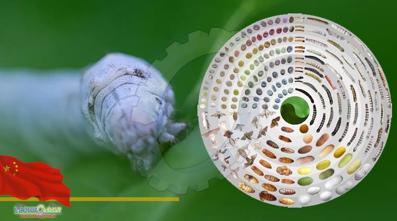 World's First Super Pan-Genome Map of Silkworm