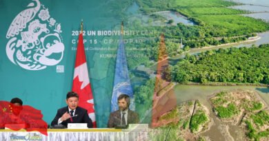 United Nation Recognizes China Ecosystem Restoration Projects