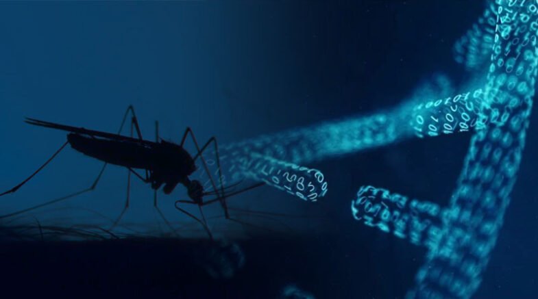 DNA Barcoding In Mosquitoes