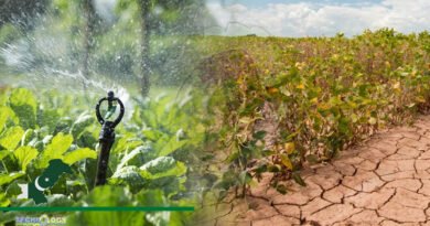 IWMI Hosted Seminar On Affect Of Climate Change On Agriculture