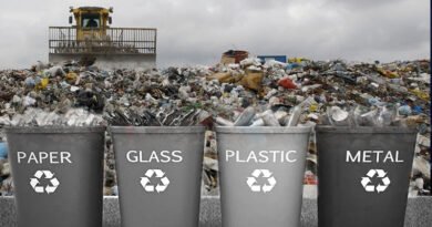 Environmentalists Propose Recycling Trash Into Useful Resources