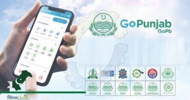 People Of Punjab To Avail 30 Government Services via Go Punjab App: CM