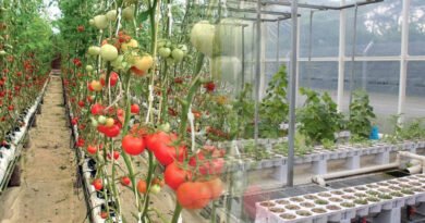 Aquaponics Management System Develops For Farmers To Manage Farms