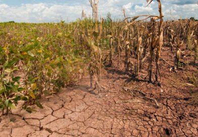 Climate Change: Impacts and Mitigation Strategies to Ensure Sustainable Agriculture