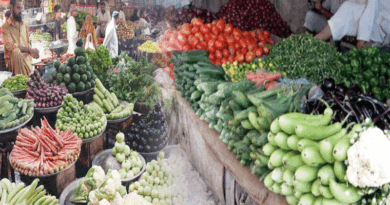 Energy Changing Tariffs May Rise Fruit And Vegetable Crisis: APCSA