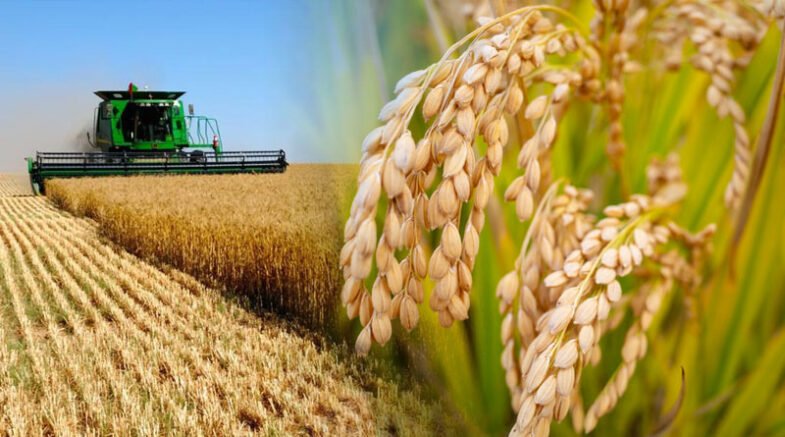 Federal Govt Setup A Committee To Improve Crop Production